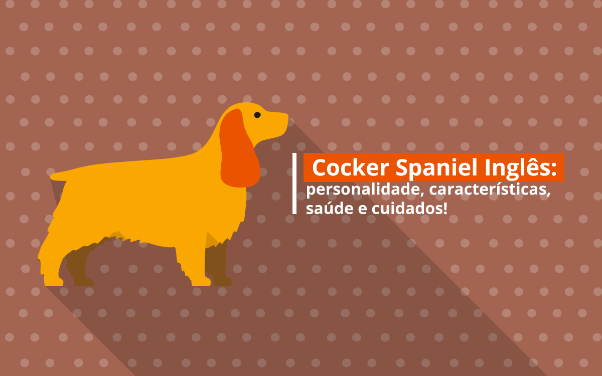 Raças de cachorro: Cocker Spaniel Inglês, Artigos