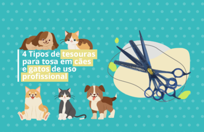 4 Tipos de tesouras para tosa em cães e gatos de uso profissional